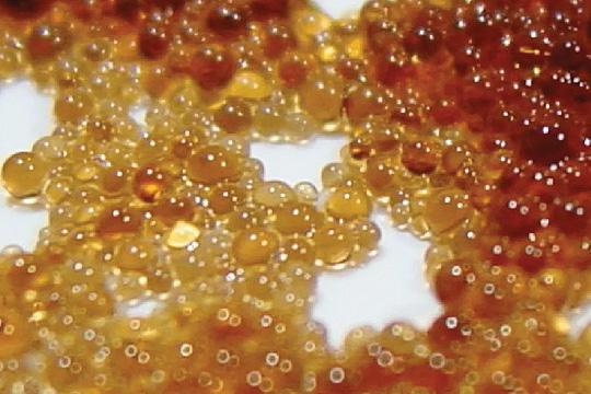Ion exchange resin in water softeners